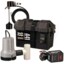 Liberty Pumps 441 - Battery Back Up Sump Pump System 1830 Gph @ 10'